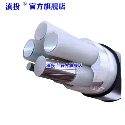 www.zsbaili.cn